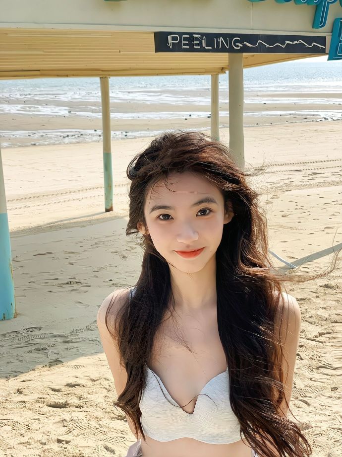 我的团长我的团 封面